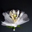 0012-DSC02924